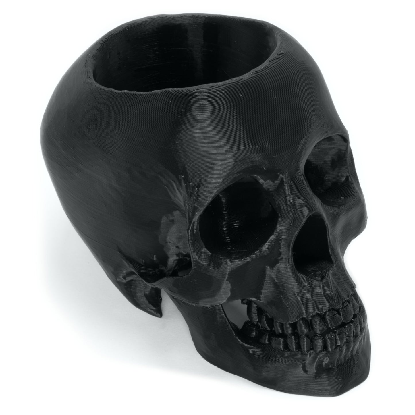 Realistic Skull Pen Holder