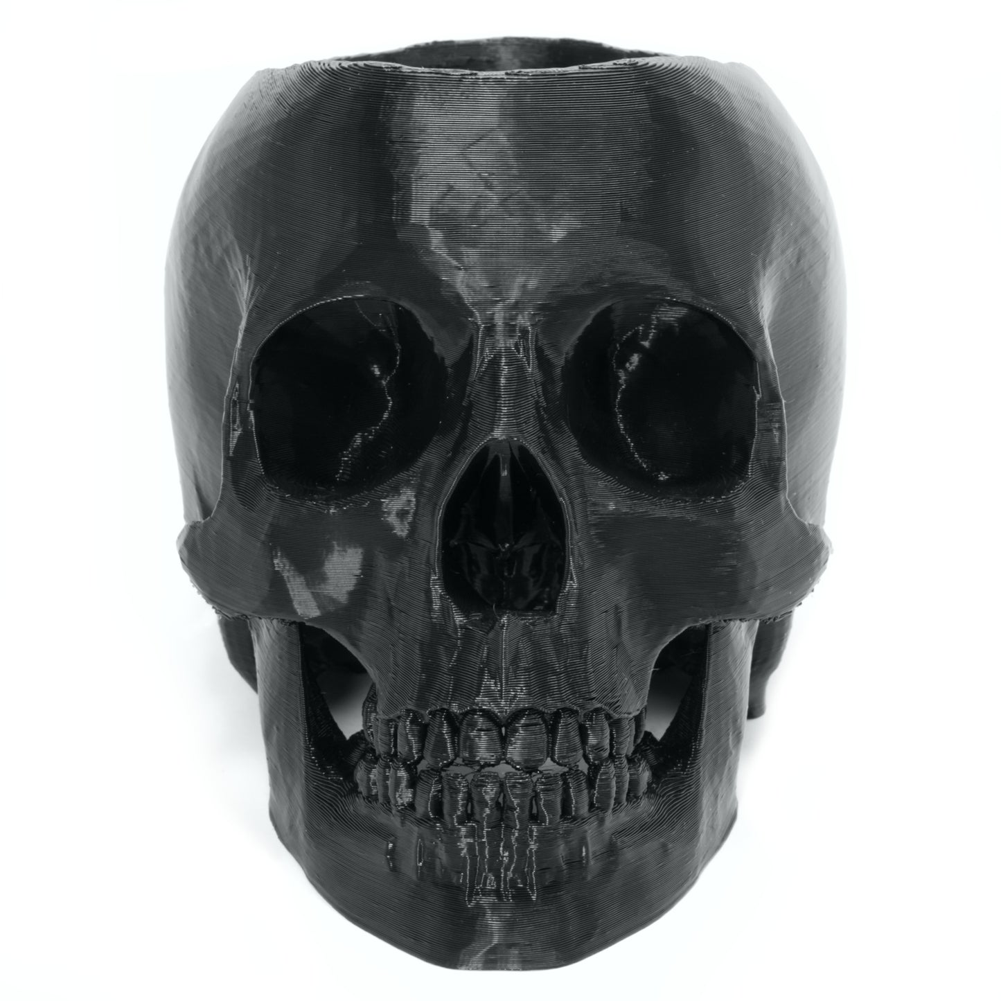 Realistic Skull Pen Holder